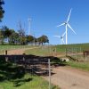 Two wind turbines are seen just over the crest of a grassed hill.